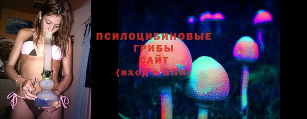 твердый Алзамай