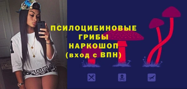 хмурый Алексин