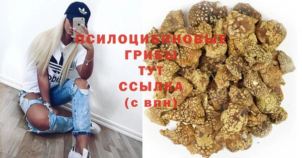 твердый Алзамай