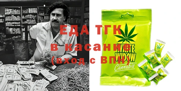 хмурый Алексин