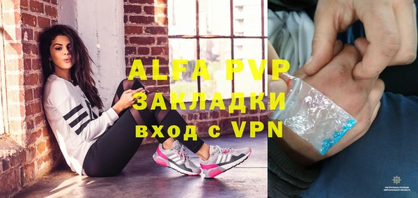 хмурый Алексин