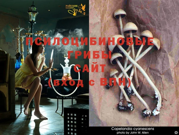 твердый Алзамай