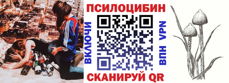 Галлюциногенные грибы Cubensis  Новоульяновск 